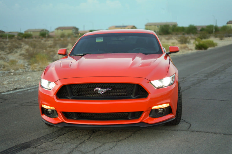 Load image into Gallery viewer, 2015 Mustang 5.0
