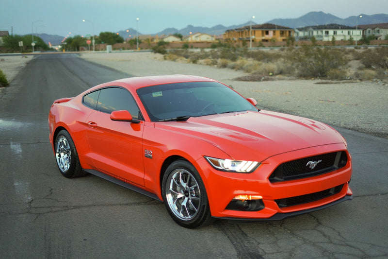 Load image into Gallery viewer, 2015 Mustang 5.0
